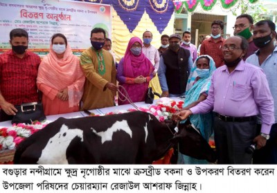 নন্দীগ্রামে ক্ষুদ্র নৃগোষ্ঠীর মাঝে ক্রসব্রীড বকনা ও উপকরণ বিতরণ
